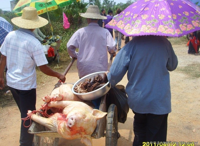 2011\04\13\11442499687925.jpg                                                                       